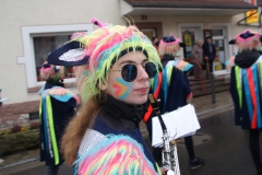 Gassefetzer 2019 Faschingszug Hettstadt