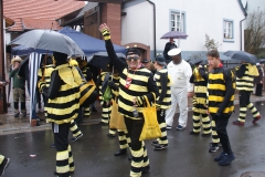 Gassefetzer 2019 Faschingszug Hettstadt