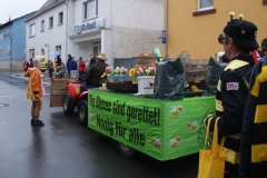 Gassefetzer 2019 Faschingszug Hettstadt