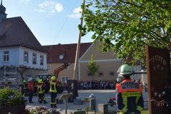 2019-04-30_Maibaumaufstellen_016