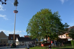 2019-04-30_Maibaumaufstellen_024