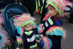 Gassefetzer 2019 Rosenmontagszug Veitshöchheim