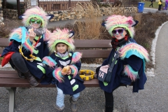 Gassefetzer 2019 Rosenmontagszug Veitshöchheim