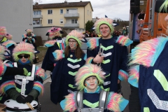 Gassefetzer 2019 Rosenmontagszug Veitshöchheim