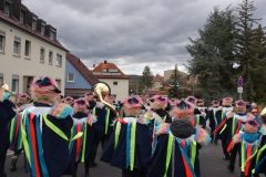 Gassefetzer 2019 Rosenmontagszug Veitshöchheim
