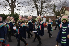 Gassefetzer 2019 Rosenmontagszug Veitshöchheim