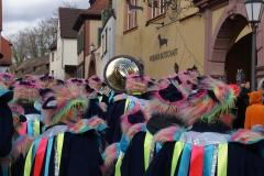 Gassefetzer 2019 Rosenmontagszug Veitshöchheim