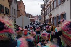 Gassefetzer 2019 Rosenmontagszug Veitshöchheim