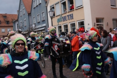Gassefetzer 2019 Rosenmontagszug Veitshöchheim