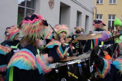 Gassefetzer 2019 Rosenmontagszug Veitshöchheim