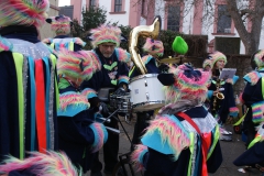 Gassefetzer 2019 Rosenmontagszug Veitshöchheim