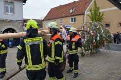 2022-04-30_Maibaumaufstellen_017
