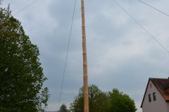 2022-04-30_Maibaumaufstellen_029