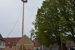 2022-04-30_Maibaumaufstellen_036