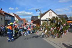 2023-04-30_Maibaumaufstellen_031
