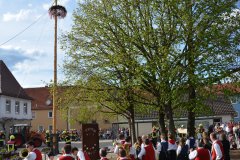 2023-04-30_Maibaumaufstellen_073