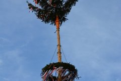 2023-04-30_Maibaumaufstellen_095