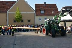 2024-04-30_Maibaumaufstellen_031