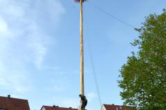 2024-04-30_Maibaumaufstellen_107