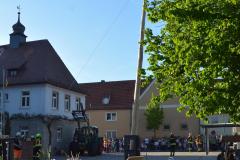 2025-04-30_Maibaumaufstellen_039